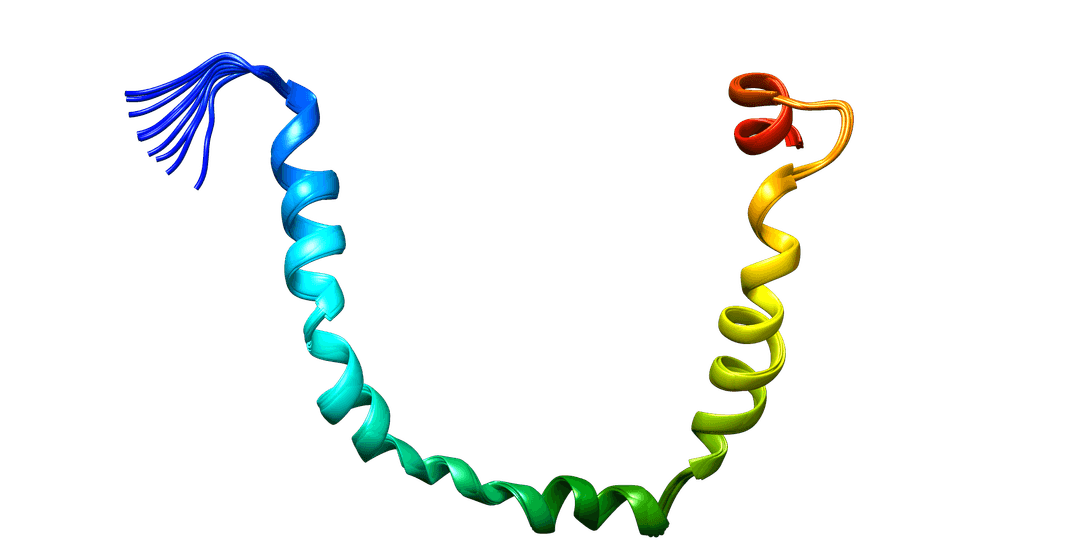 L’apolipoprotéine B 